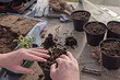 Что будет актуально в обустройстве сада в 2021 году: 8 прогнозов Что будет актуально в обустройстве сада в 2021 году: 8 прогнозов