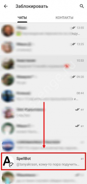 Как в Телеграмме заблокировать контакт: что он увидит?