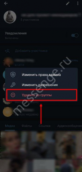 Как удалить из группы в Телеграмме человека или покинуть ее?