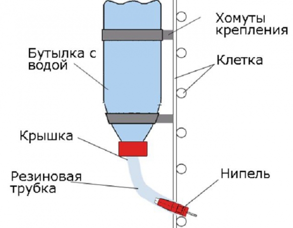 Как построить клетку для кроликов своими руками: подробная инструкция Как построить клетку для кроликов своими руками: подробная инструкция