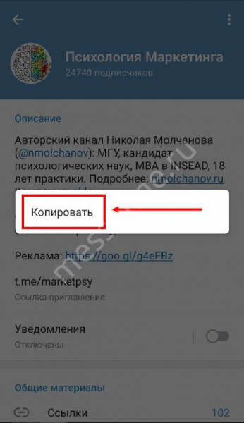 Что за сайт t.me и как открыть ссылку? Что за сайт t.me и как открыть ссылку?