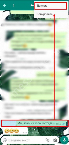Как понять, что сообщение в Ватсапе прочитано пользователем?