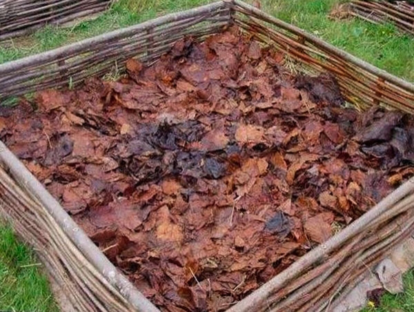 Высокие грядки своими руками фото
