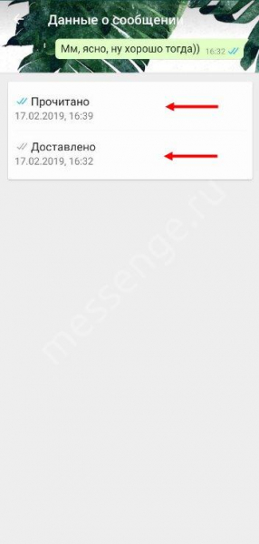 Как понять, что сообщение в Ватсапе прочитано пользователем?