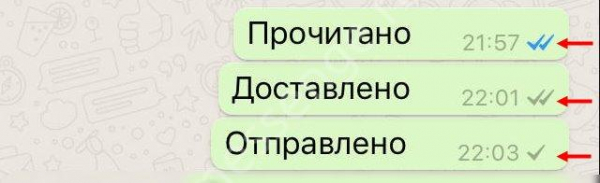 Как понять, что сообщение в Ватсапе прочитано пользователем?